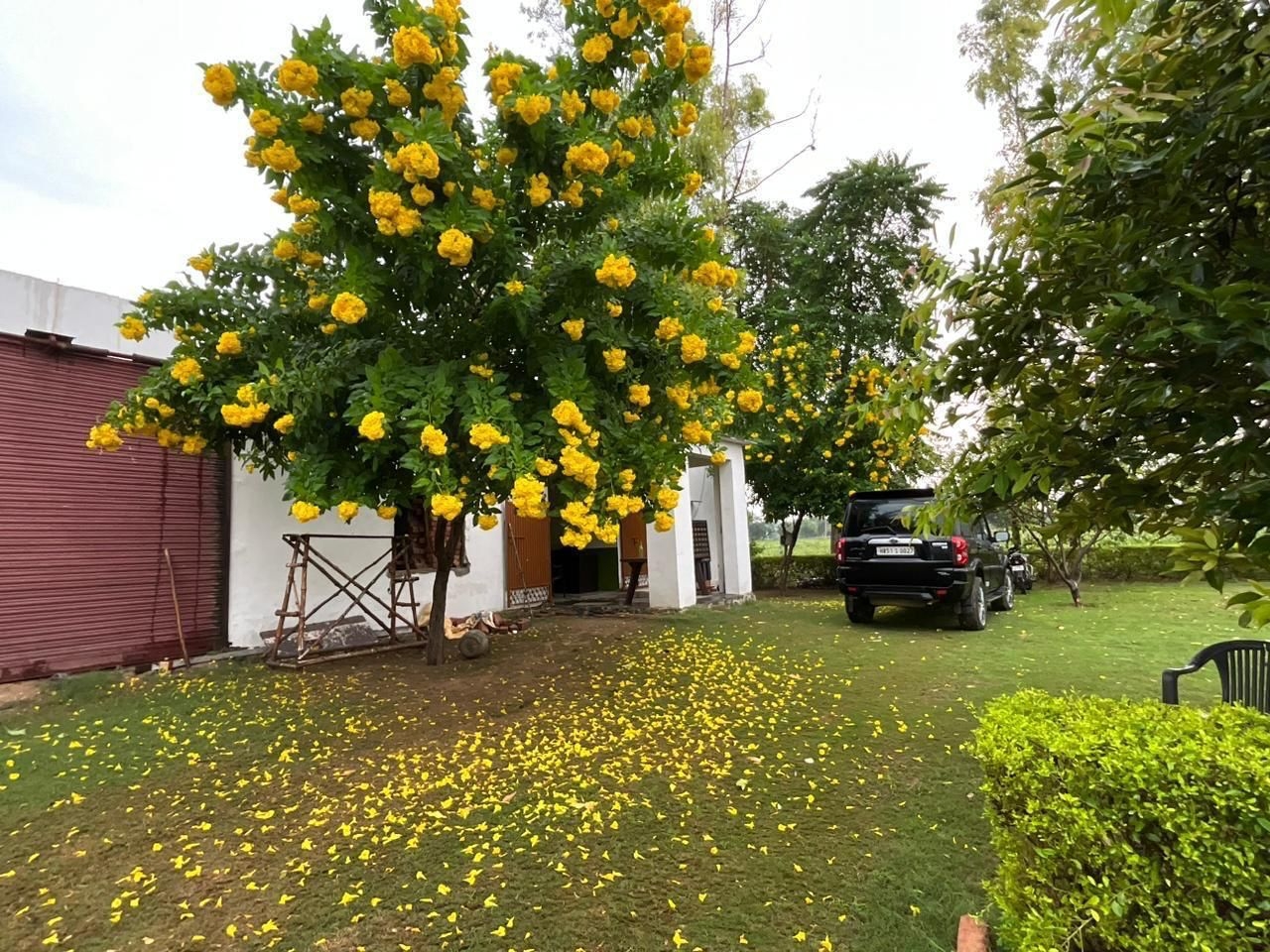 Luxury Farmhouse Land For Sale